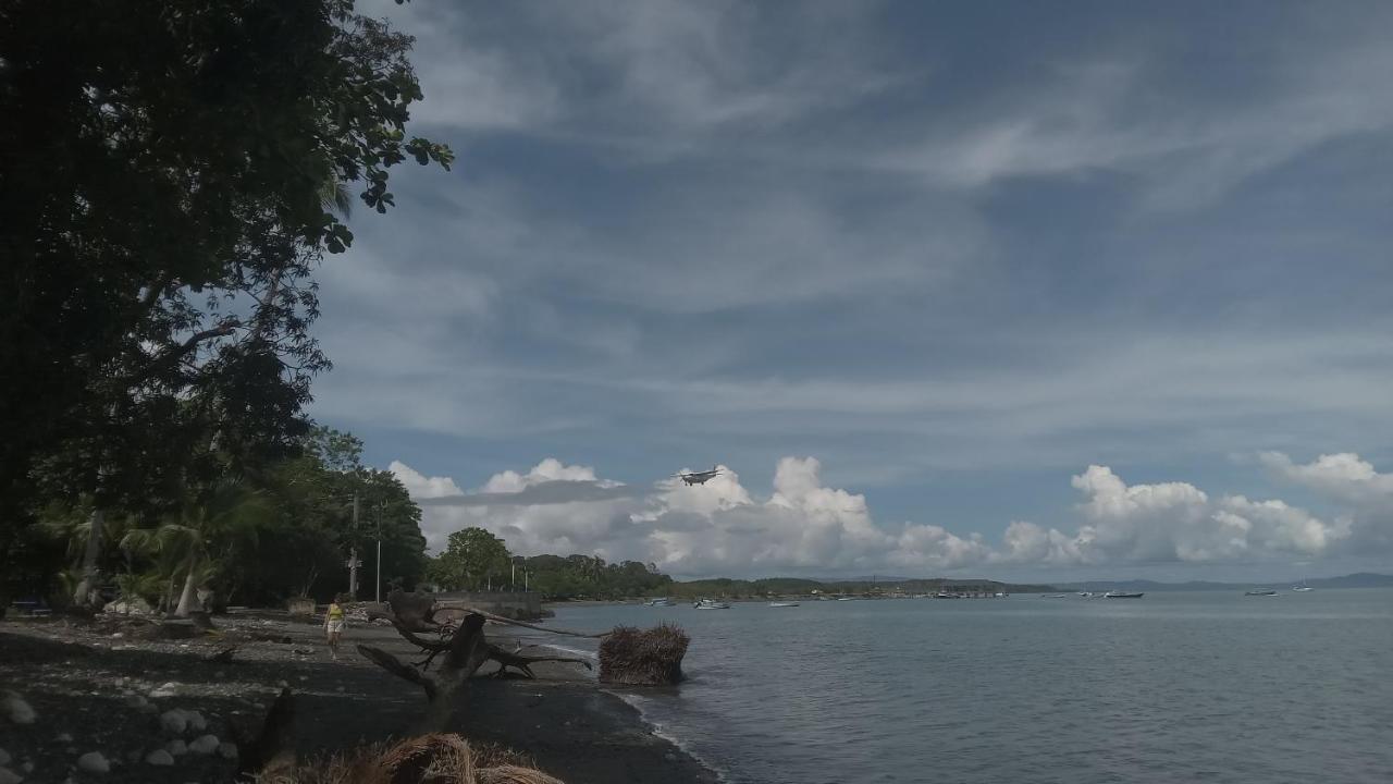 ホテル Osa Surf House Puerto Jiménez エクステリア 写真