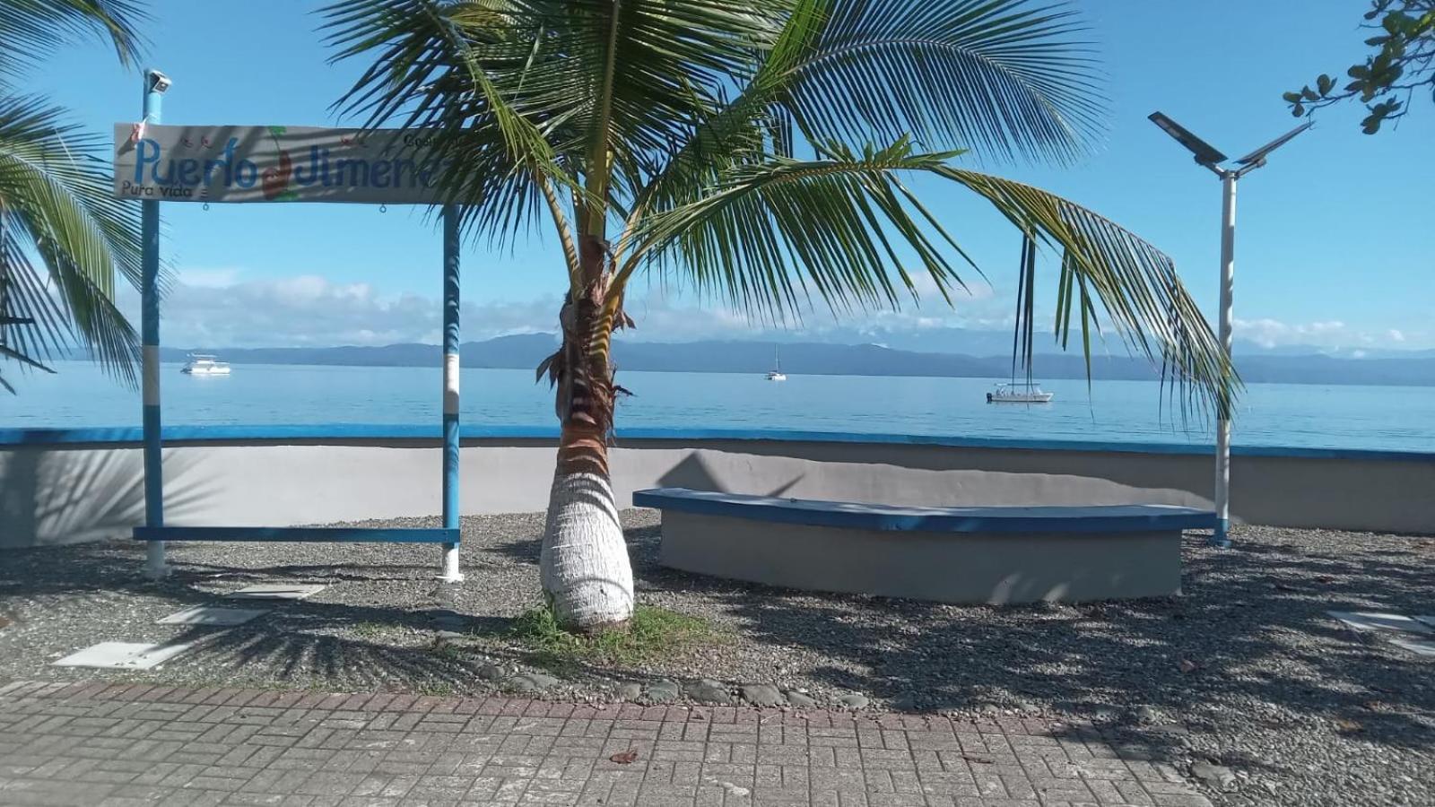 ホテル Osa Surf House Puerto Jiménez エクステリア 写真