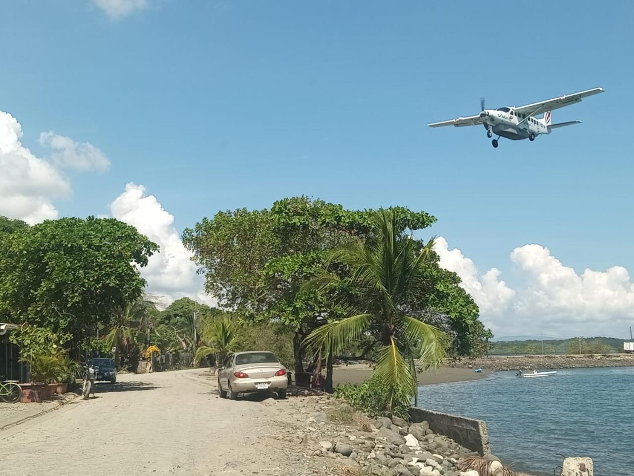 ホテル Osa Surf House Puerto Jiménez エクステリア 写真