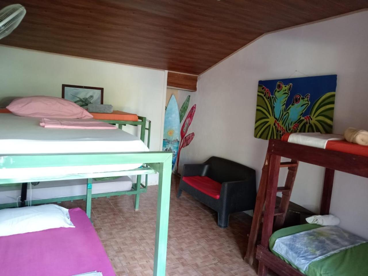 ホテル Osa Surf House Puerto Jiménez エクステリア 写真