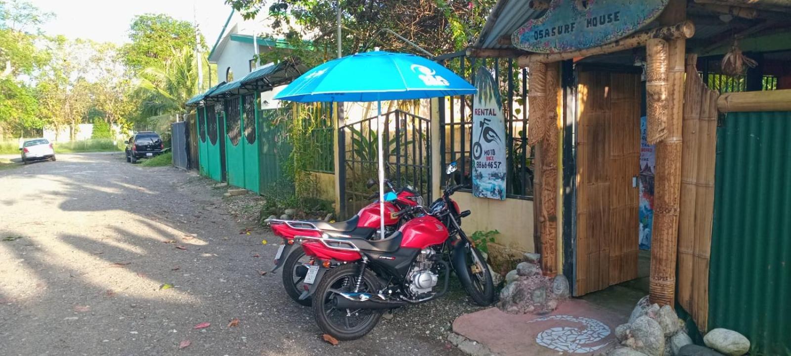 ホテル Osa Surf House Puerto Jiménez エクステリア 写真